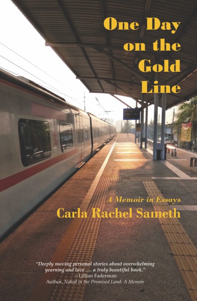 One Day on the Gold Line book cover image