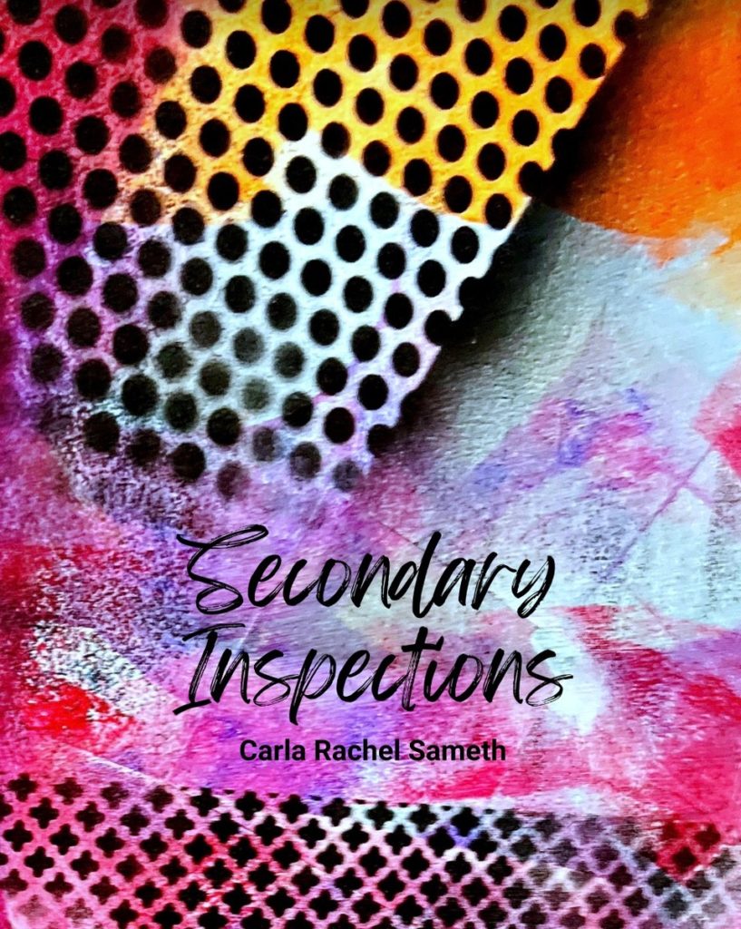 Secondary Inspections book cover image